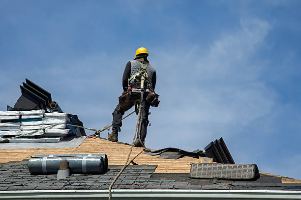 Professional Gutter Installation technician working in Albany, CA